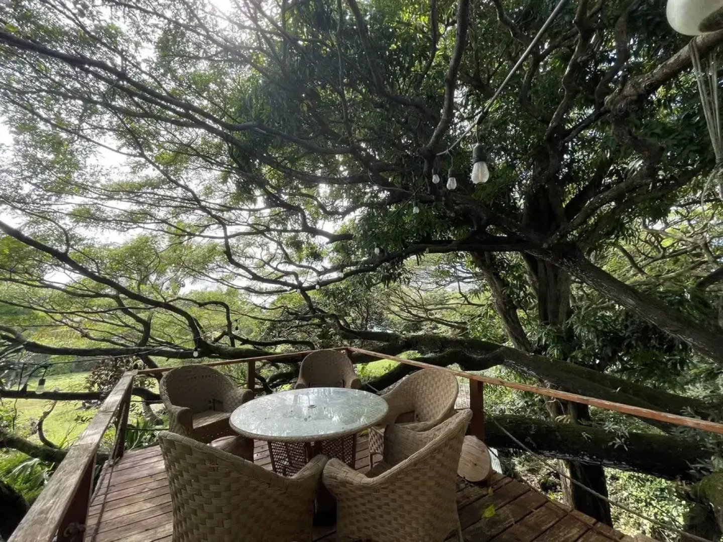 SweetSpotStay-Enchanted Grotto