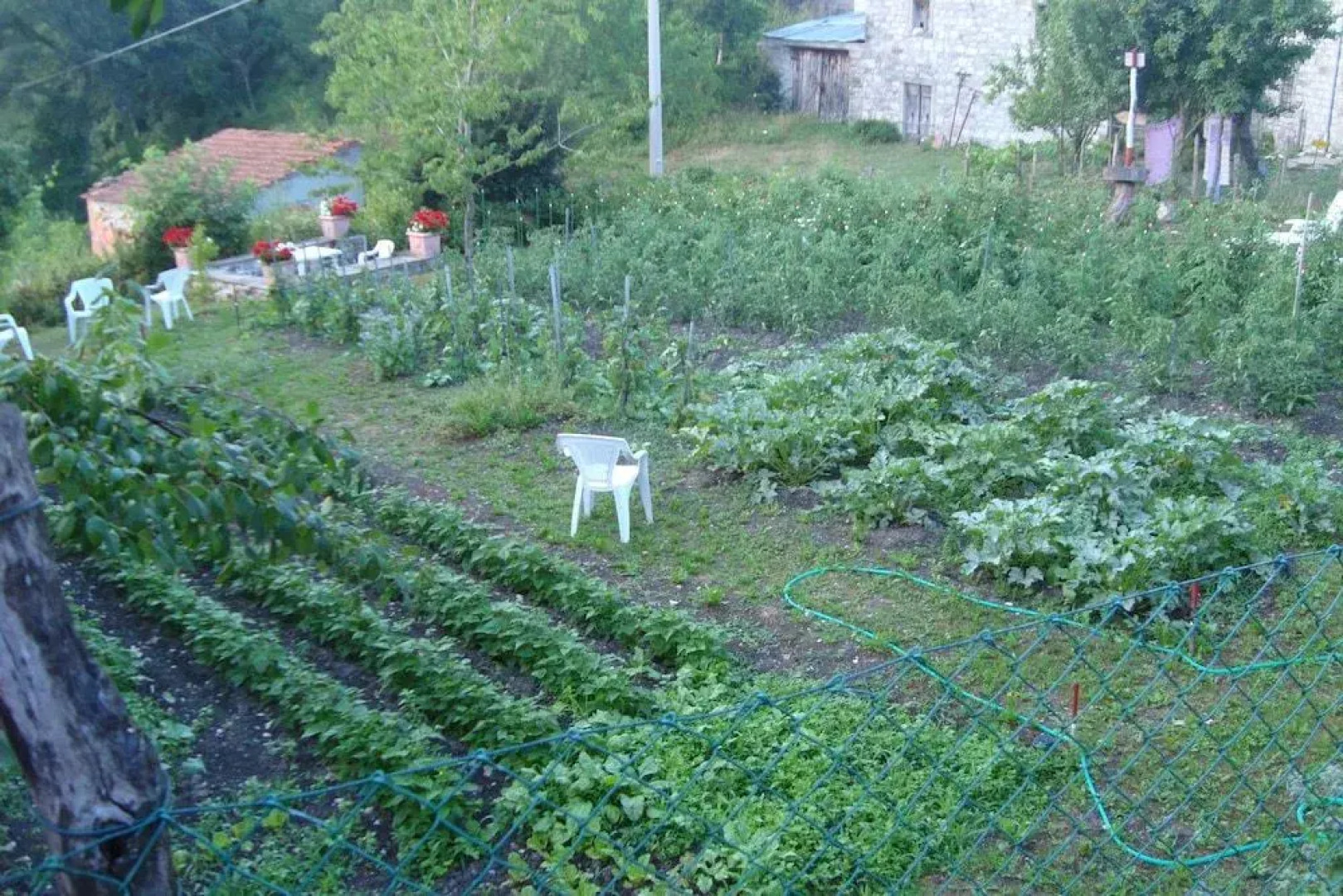 Agriturismo Il Casalone