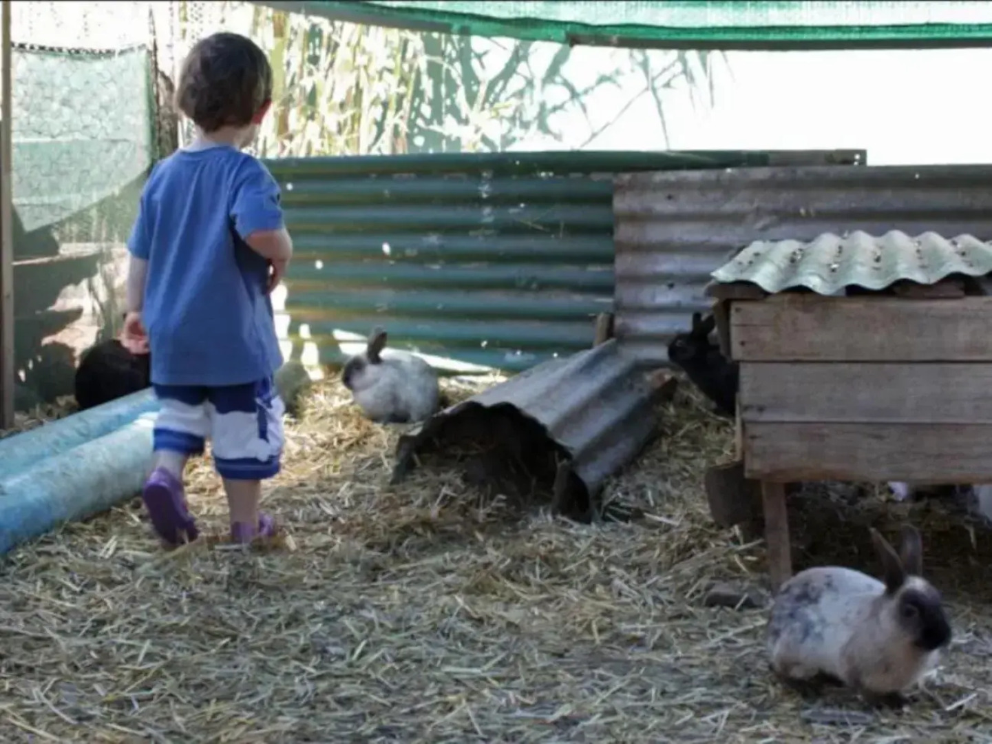 Rainbow Glen Self Catering Chalets
