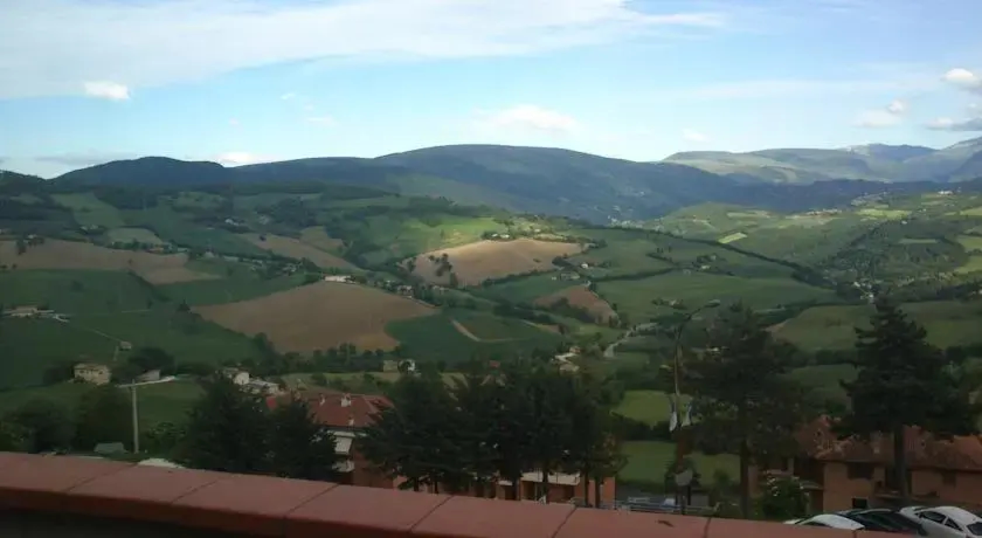 B&B Leone