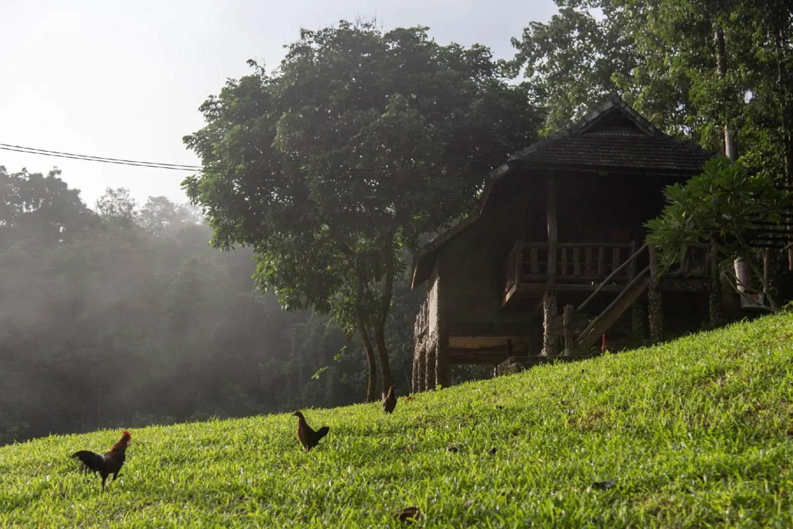 Tawan Riverside - Elephant Resort