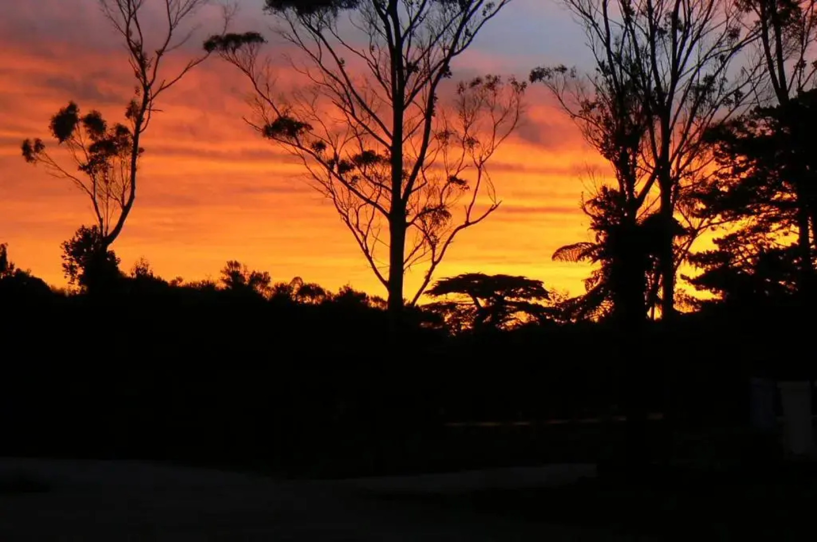 Charleston Holiday Park