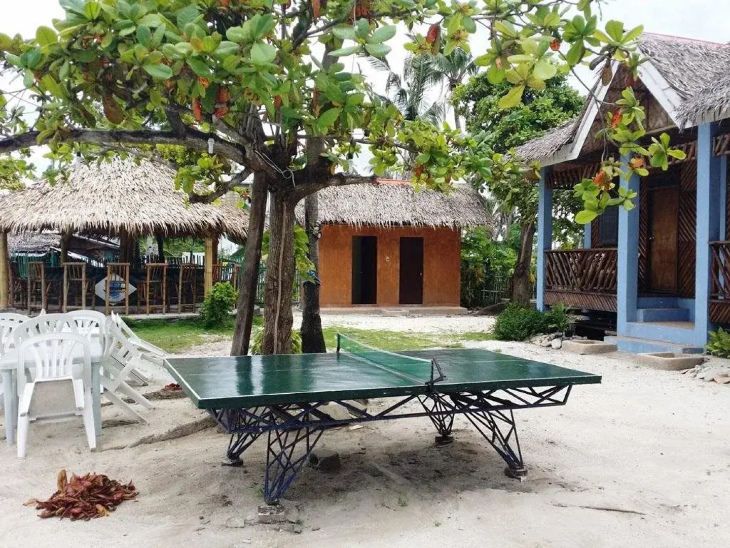 The Sharks Tail Dive Resort