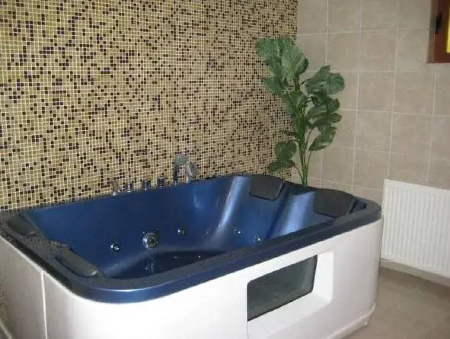 Spa Hotel Rimska Banya