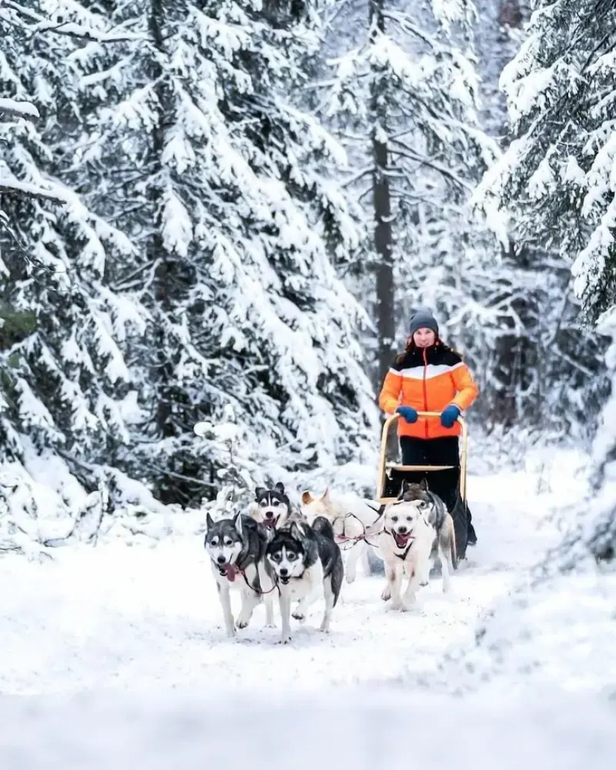 Ruka Safaris - Karhun Maja