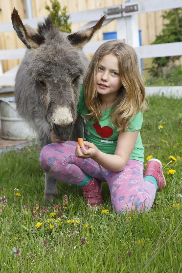 Hotel Lavendelhof & Eselhof Nauen