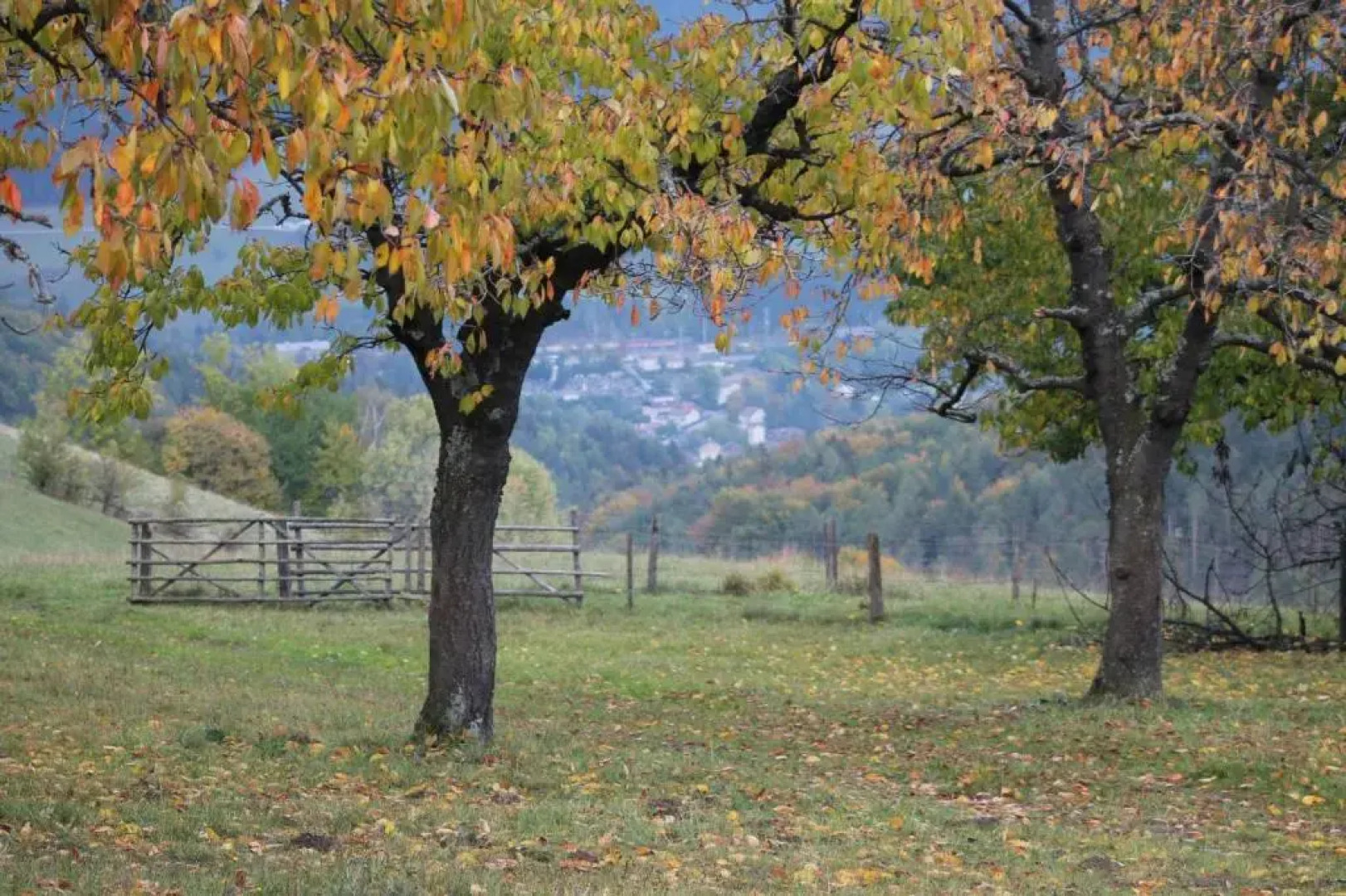 Ferienwohnung Holzer Top 2