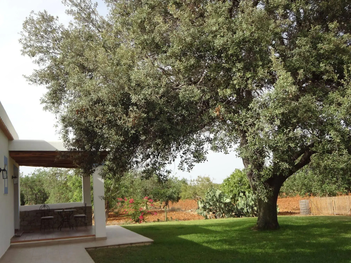 Agroturismo Sa Vinya d'en Palerm