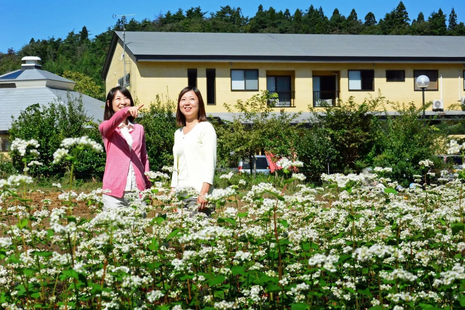 Hiraizumi Hot Spring Ryokan Soba'an Shizukatei