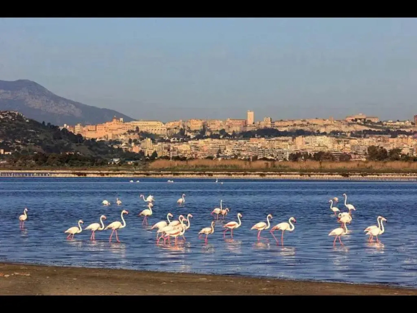 Trilocale Margine Rosso