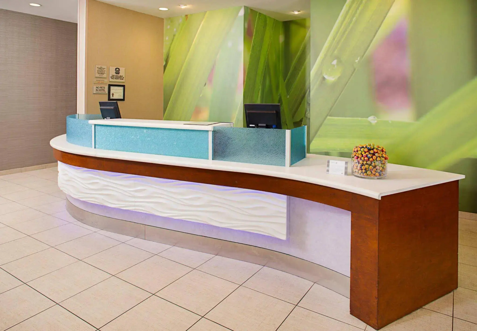 SpringHill Suites Dallas Richardson/Plano
