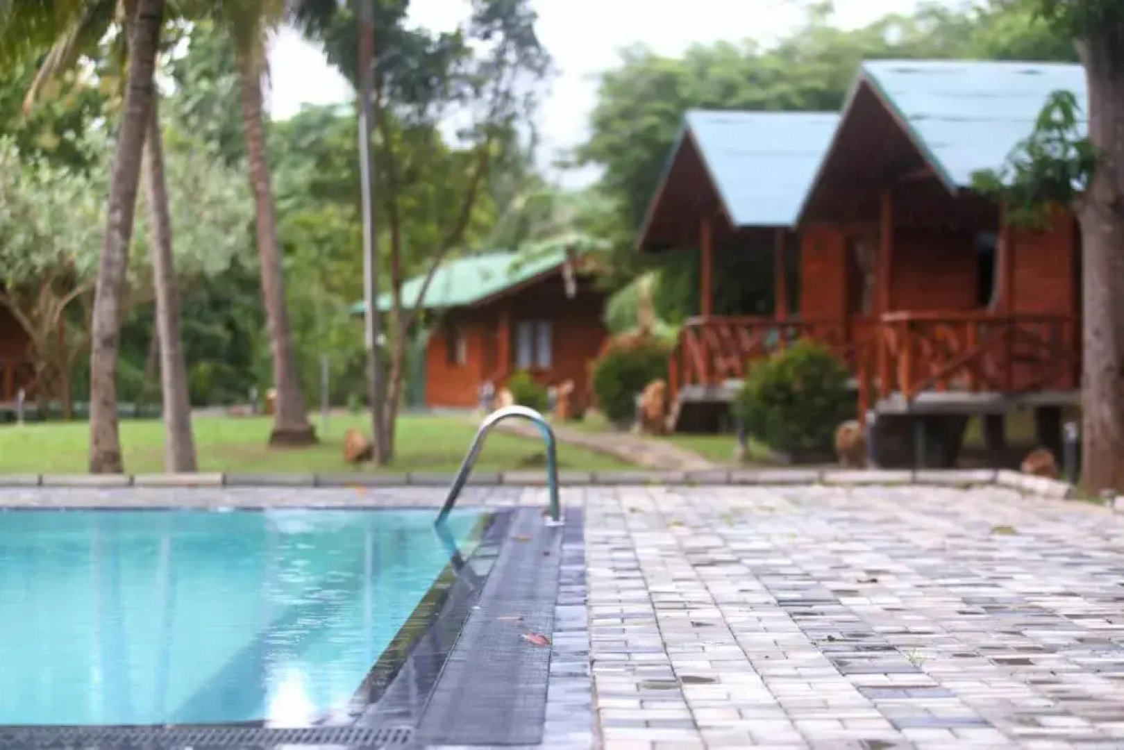 mastodon valley safari resort