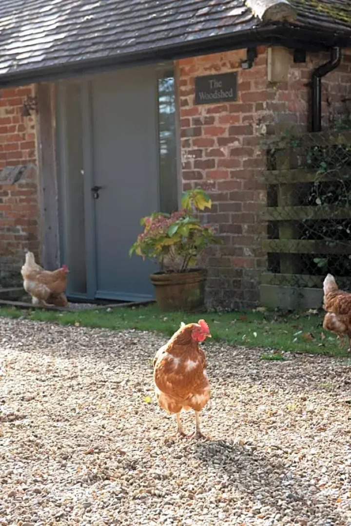 Street Farmhouse (Adults Only)