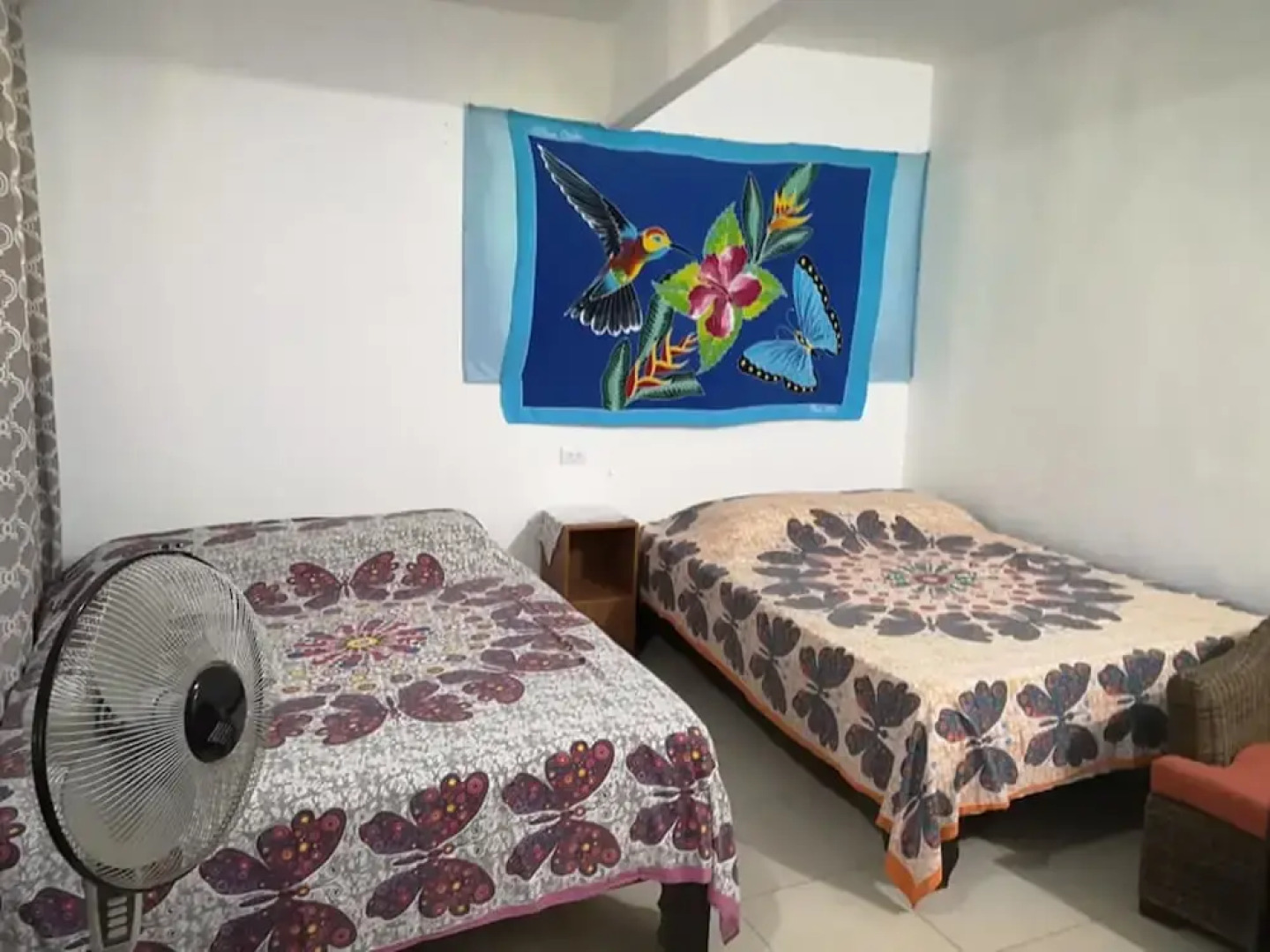 Blue Morpho House B&B
