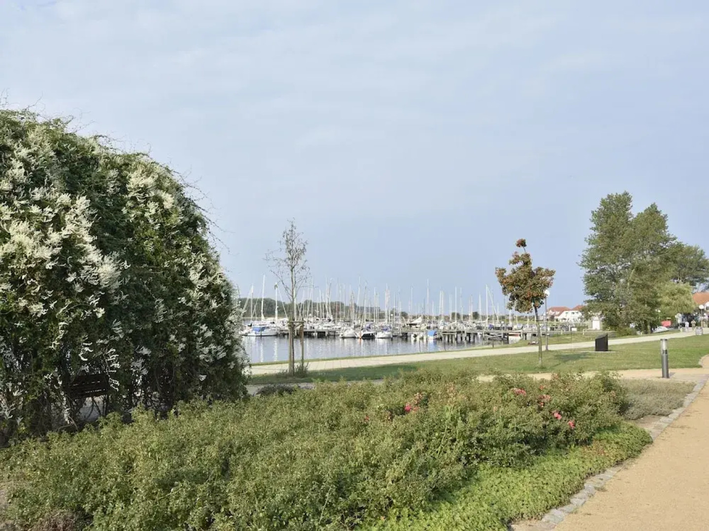 Waterfront Apartment in Rerik with terrace