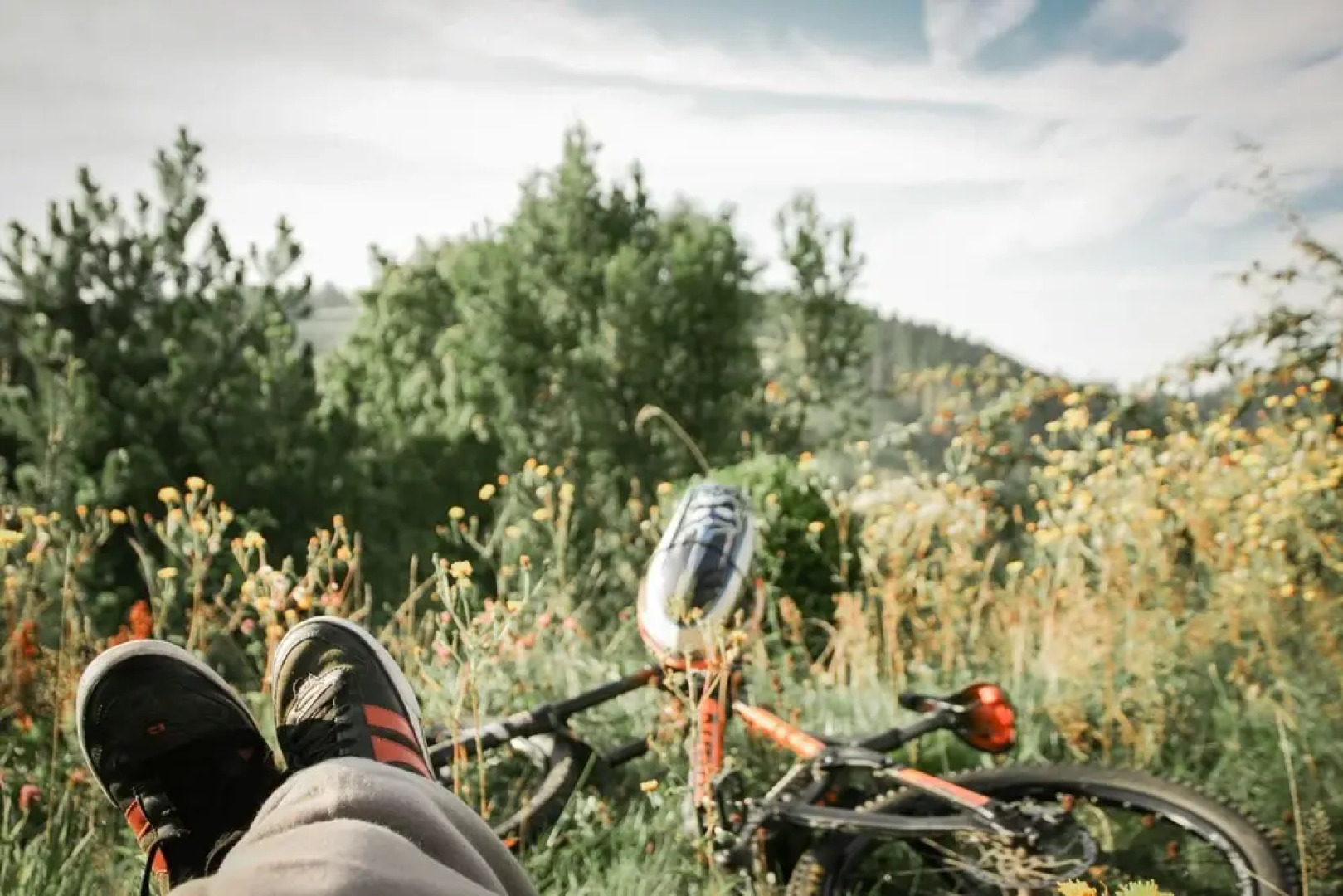 Harz BnB Werkmeister