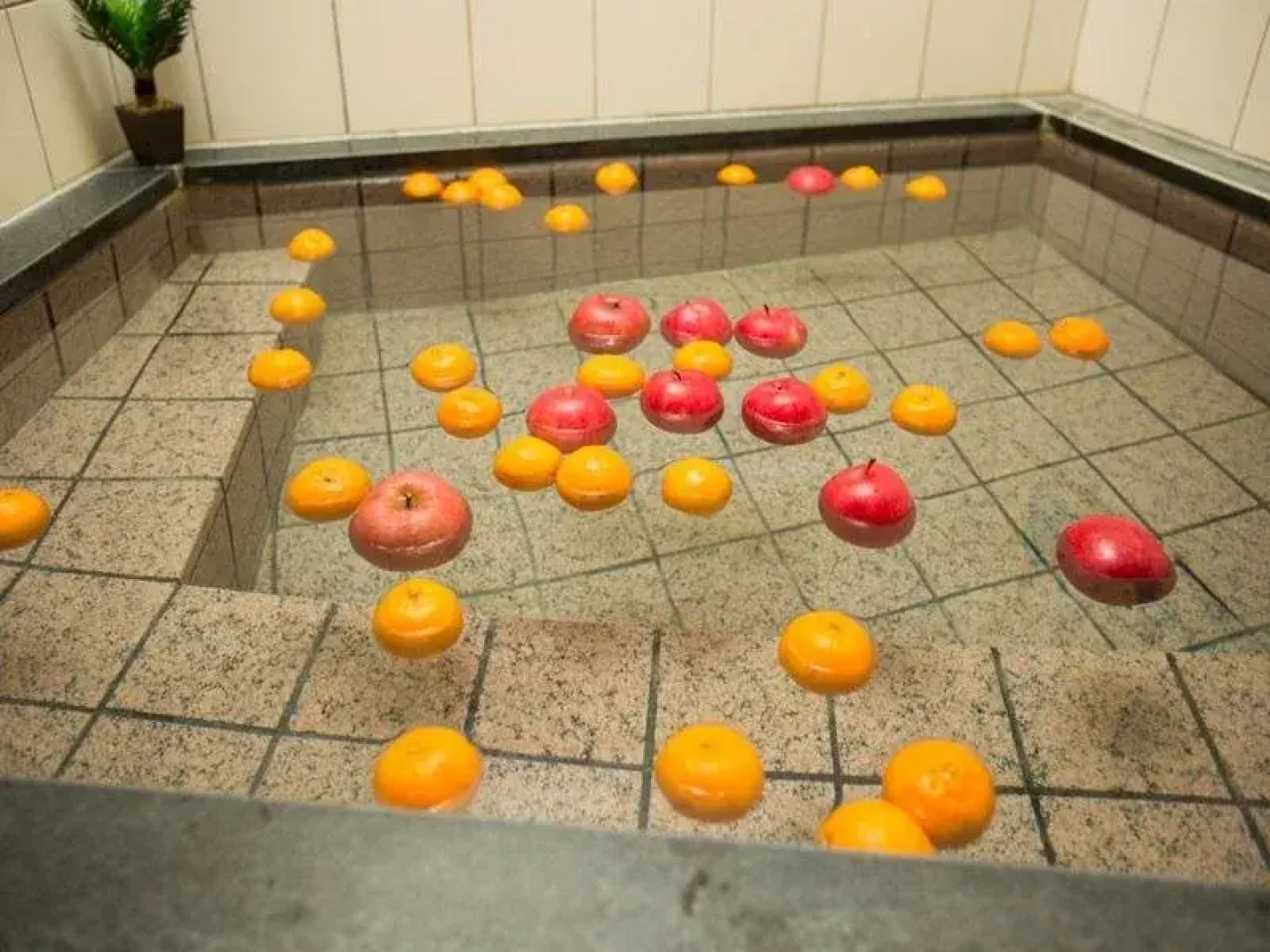 Kinosaki THE CRAB HOUSE KANIAN