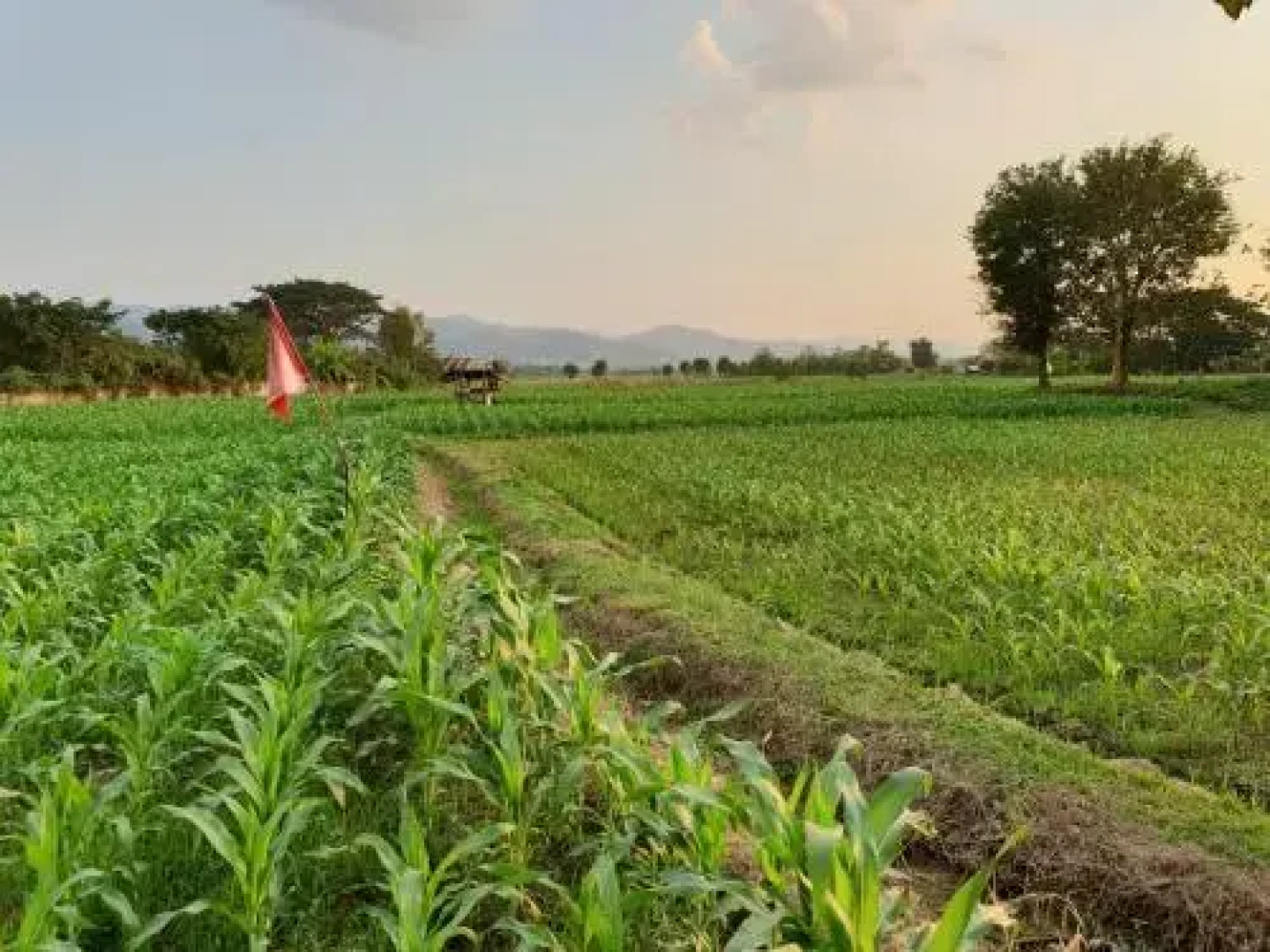 Rommaisaithan Resort