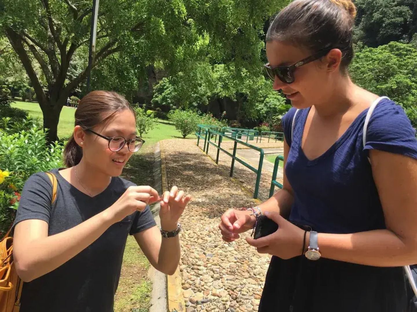 Vloft Backpackers Hostel