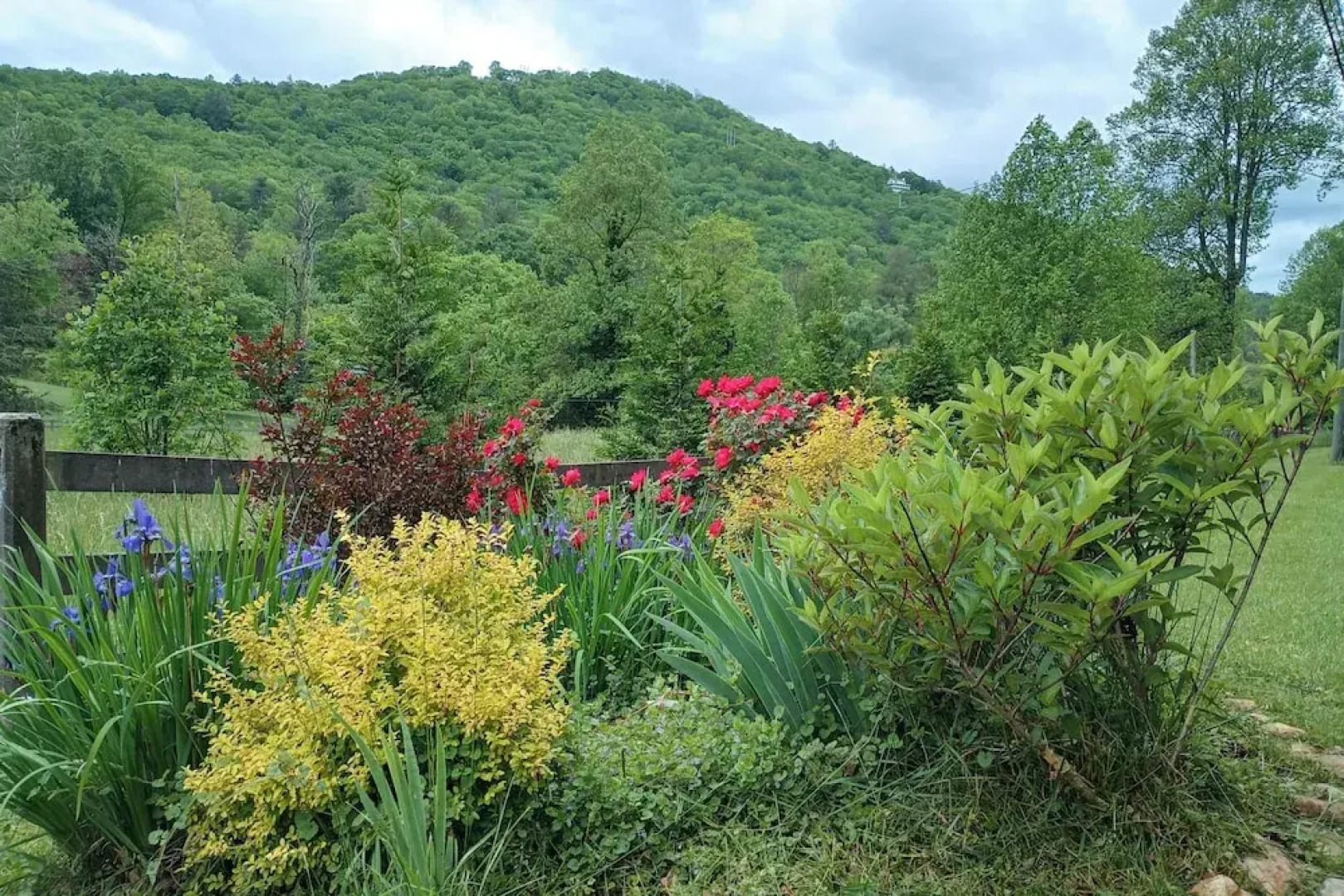 Hot Tub & Fire Pit: Pet-friendly Clayton Escape!