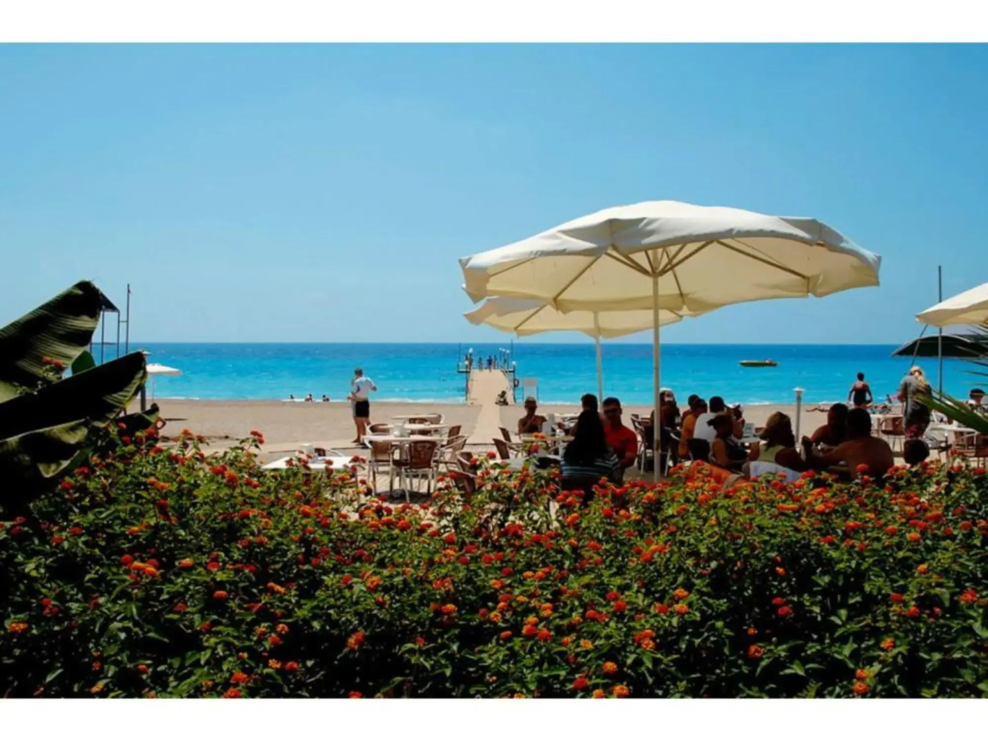 Amelia Beach Resort Hotel & Spa