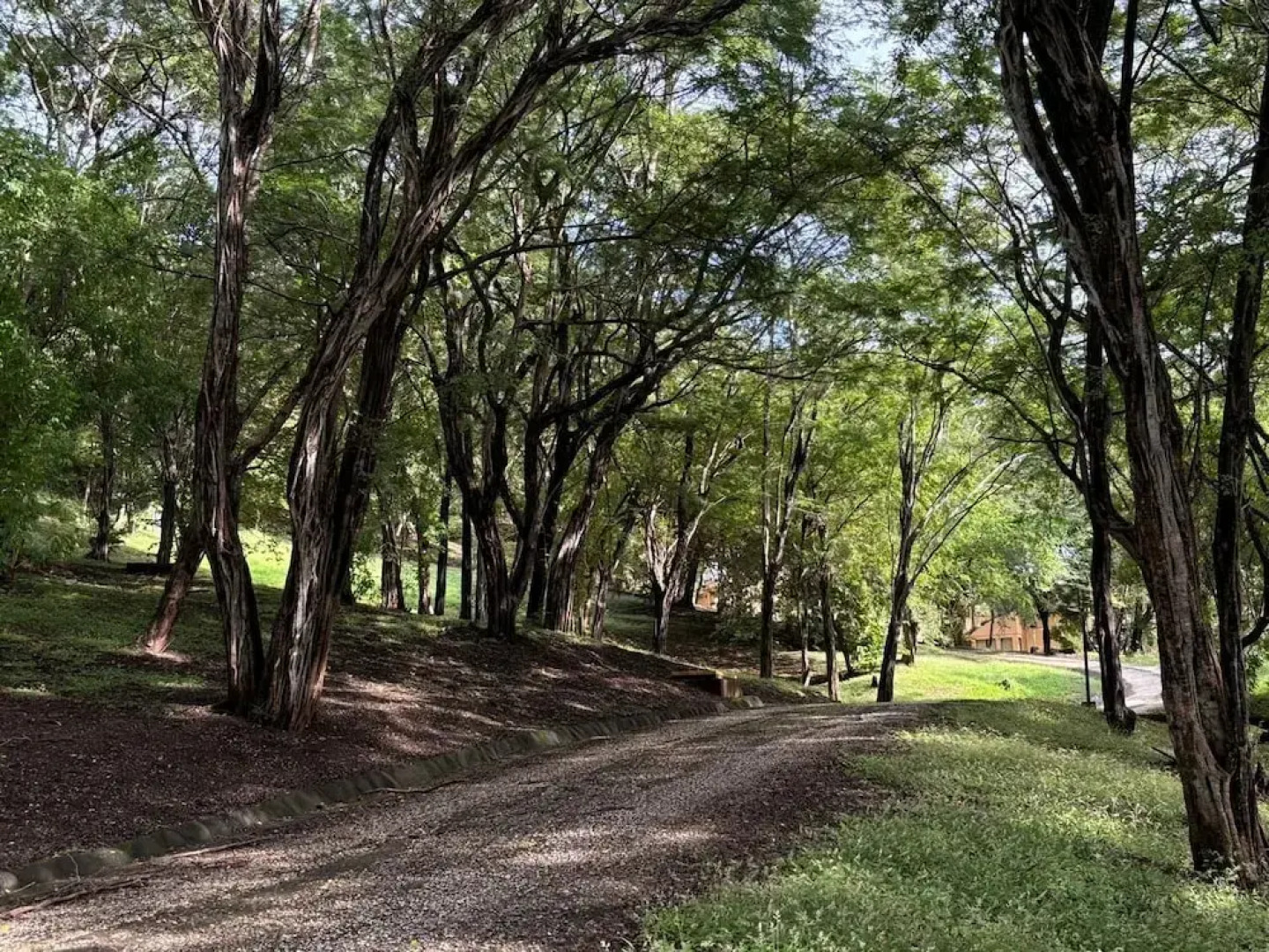 Vista Bahia Vacation Rental