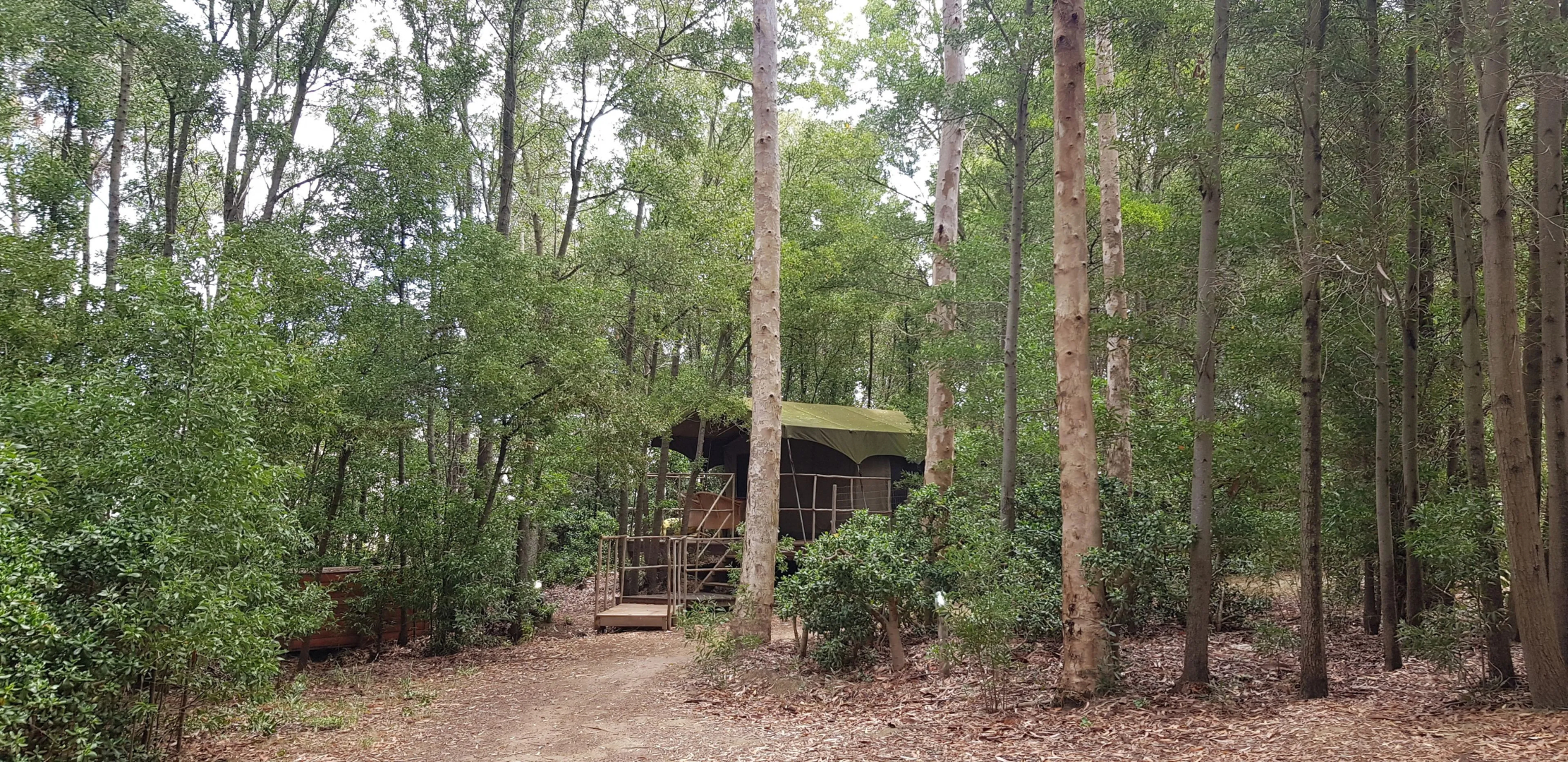 Tri Active Lodge