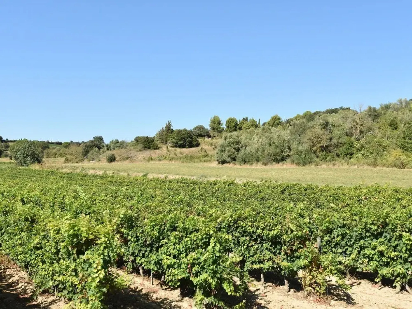 Luxury villa in Preixan with a view of Carcassonne