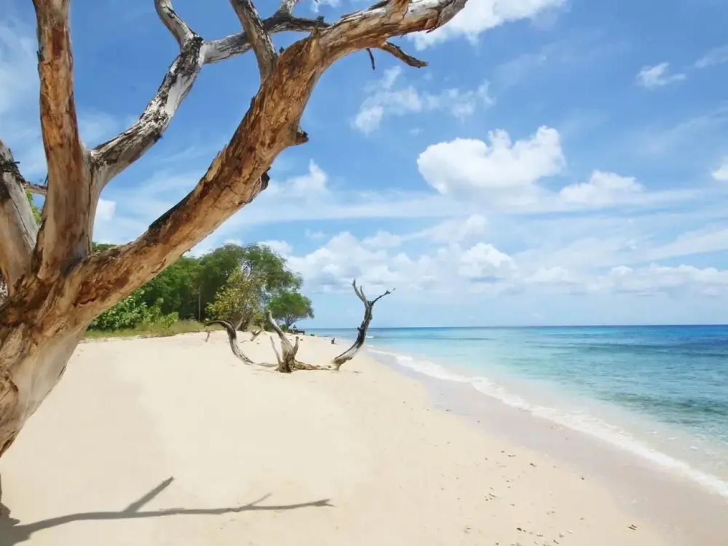 Andkar Vacation Apartment