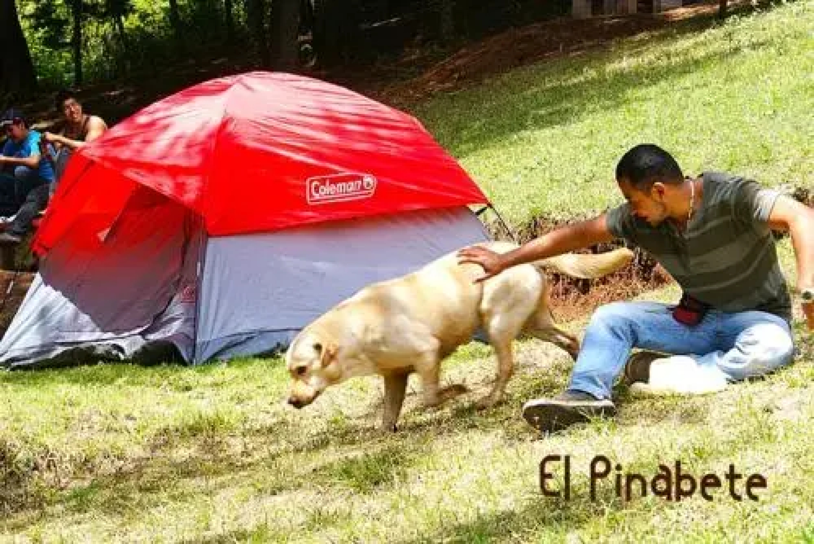 El Pinabete Finca & Cabañas