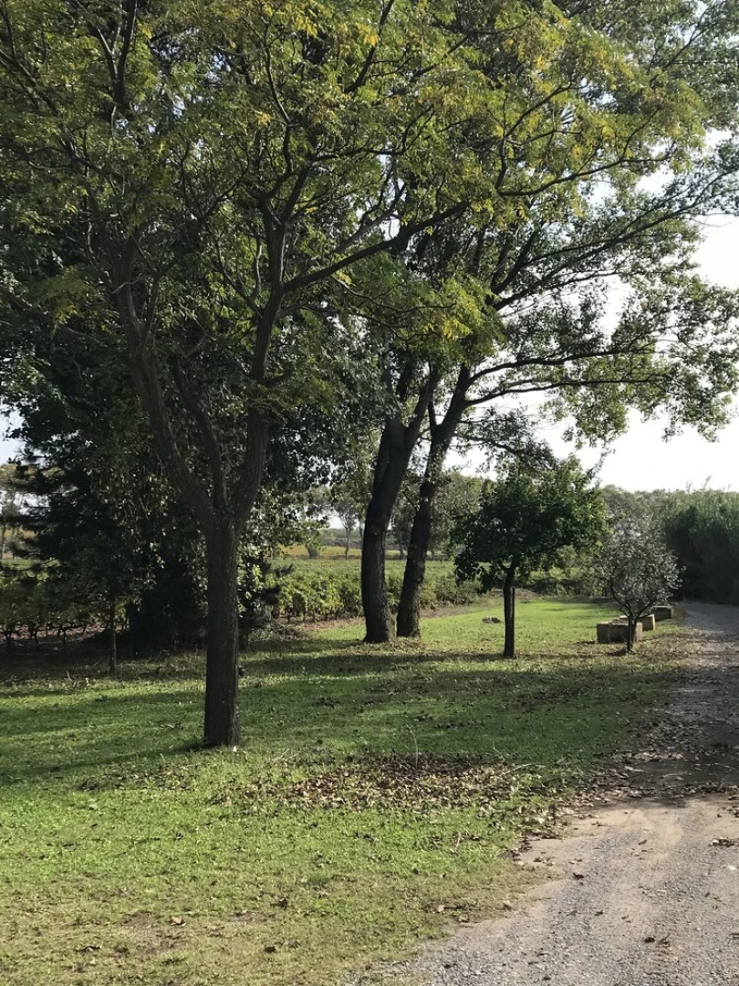 Domaine de Peilhan