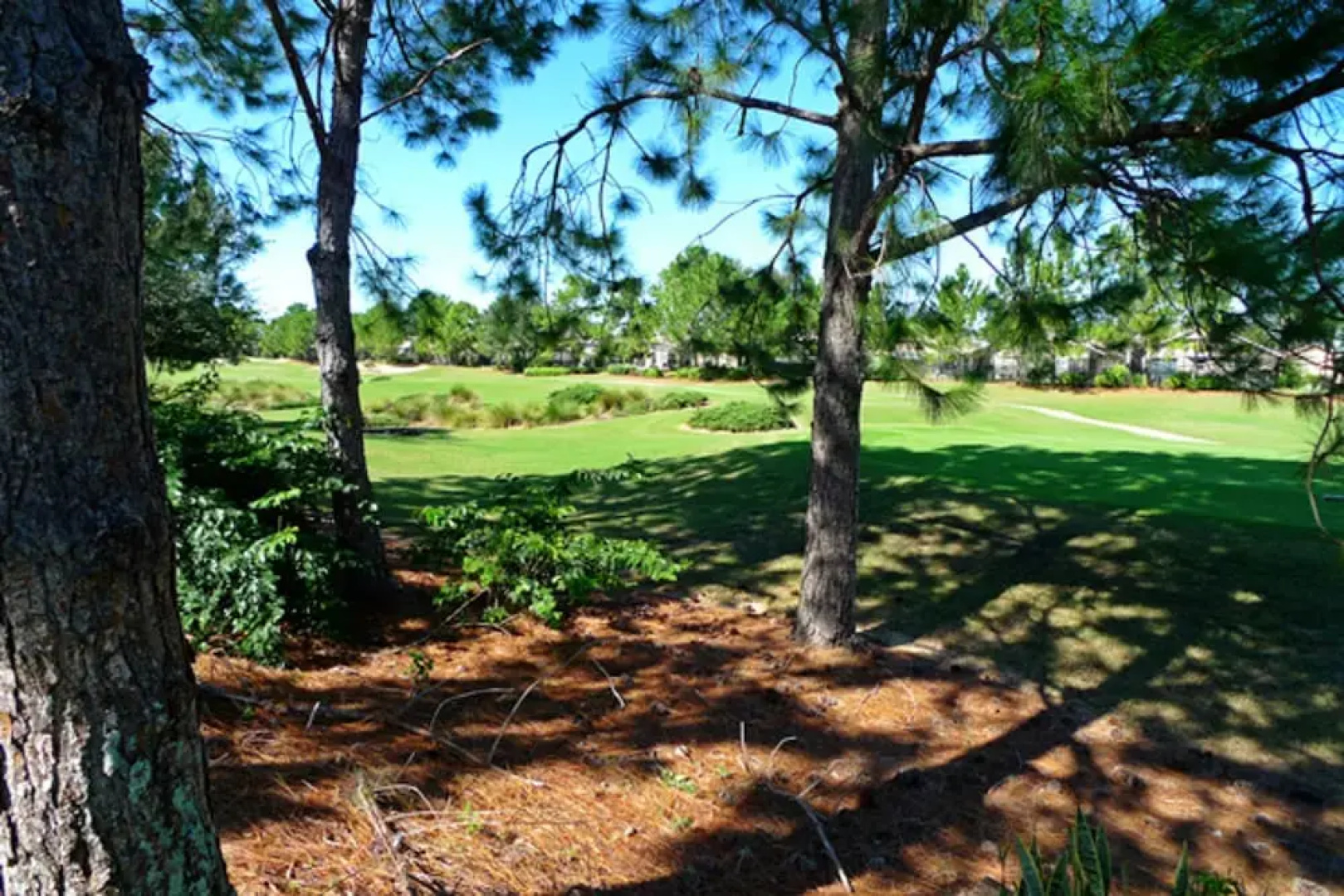 Southern Dunes Golf & Country Club 215184
