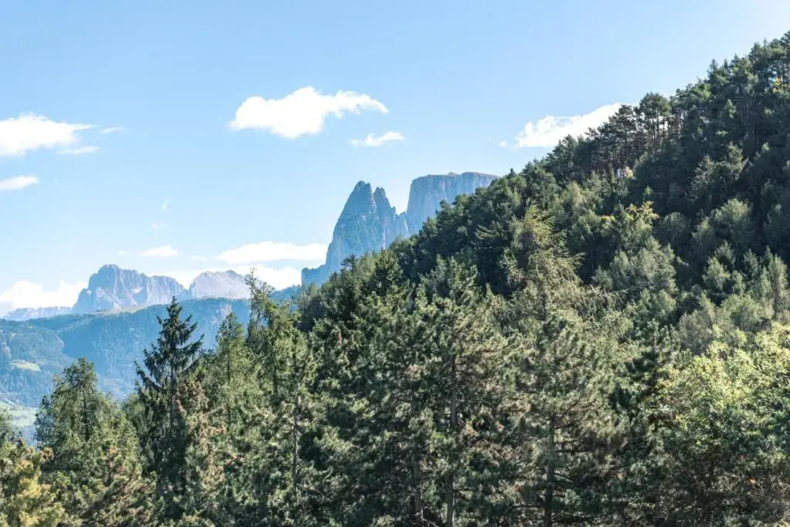 Apartments Waldquell