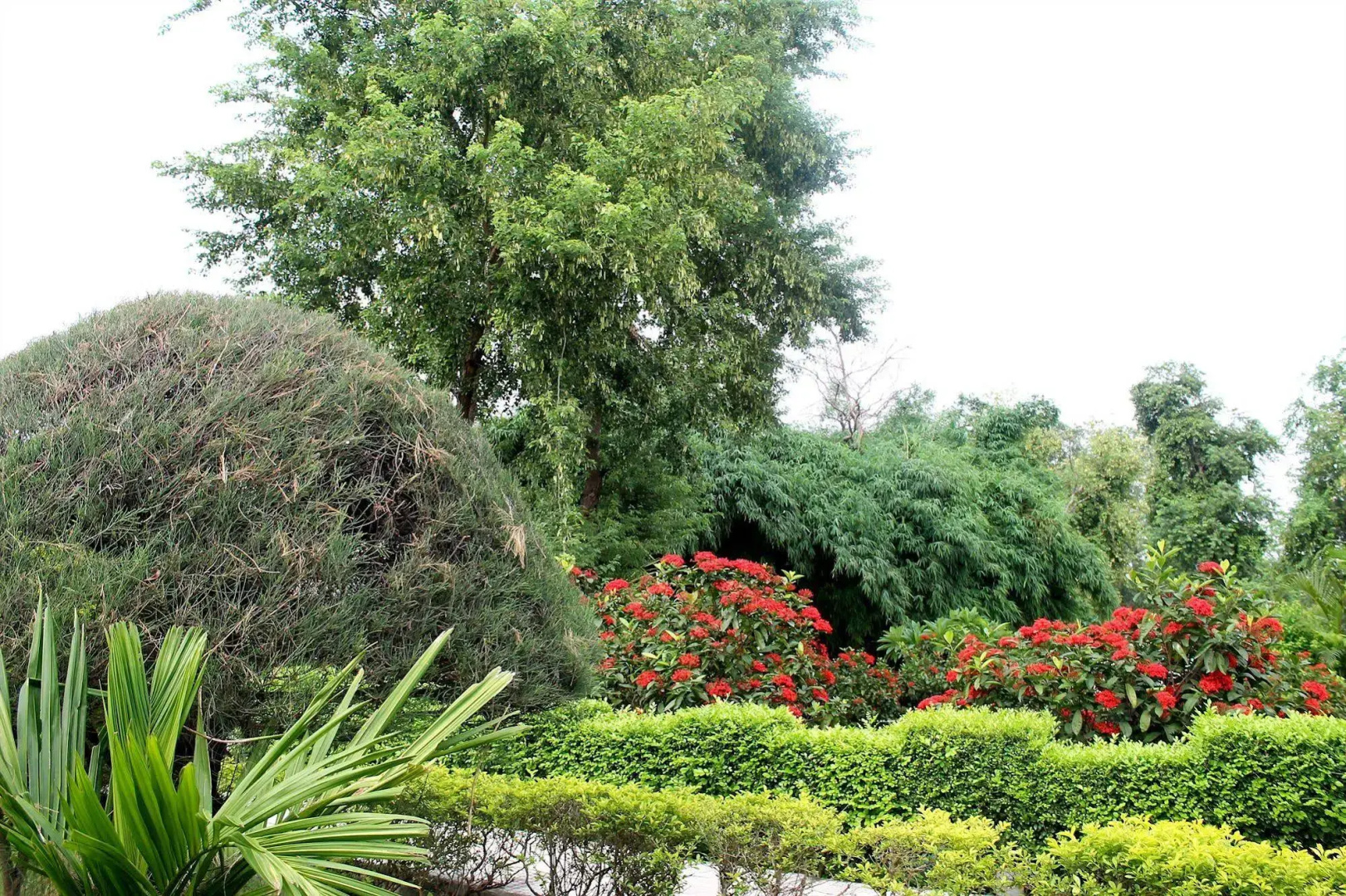Sambodhi Retreat
