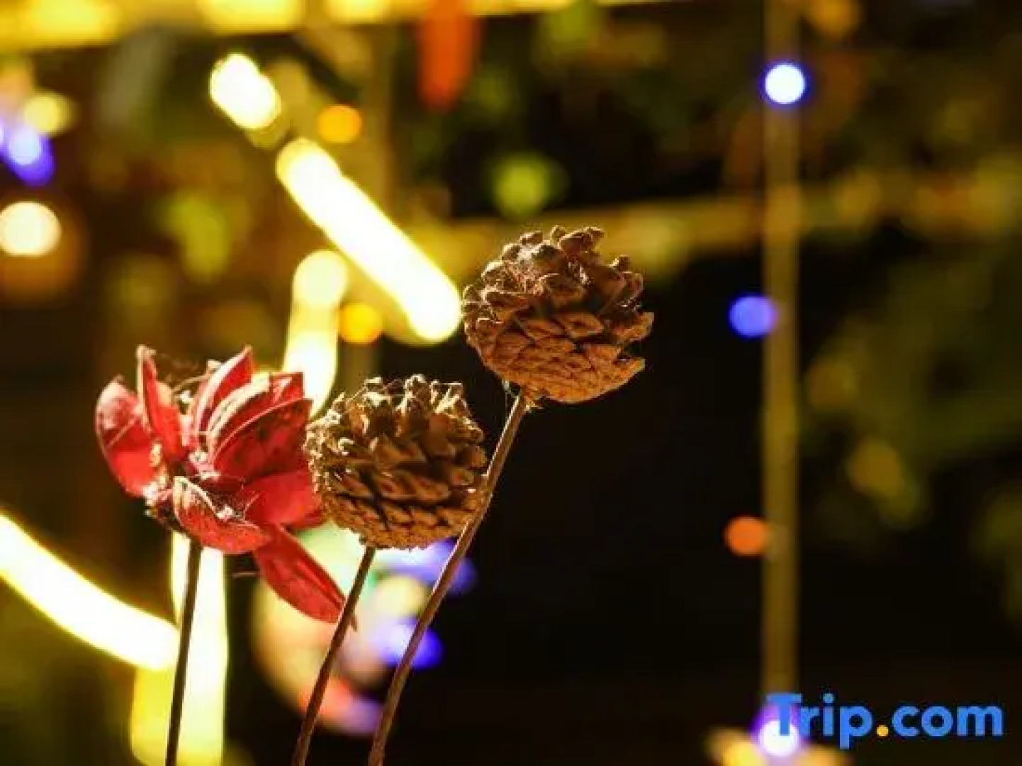 Qiuniang House Lugu Lake