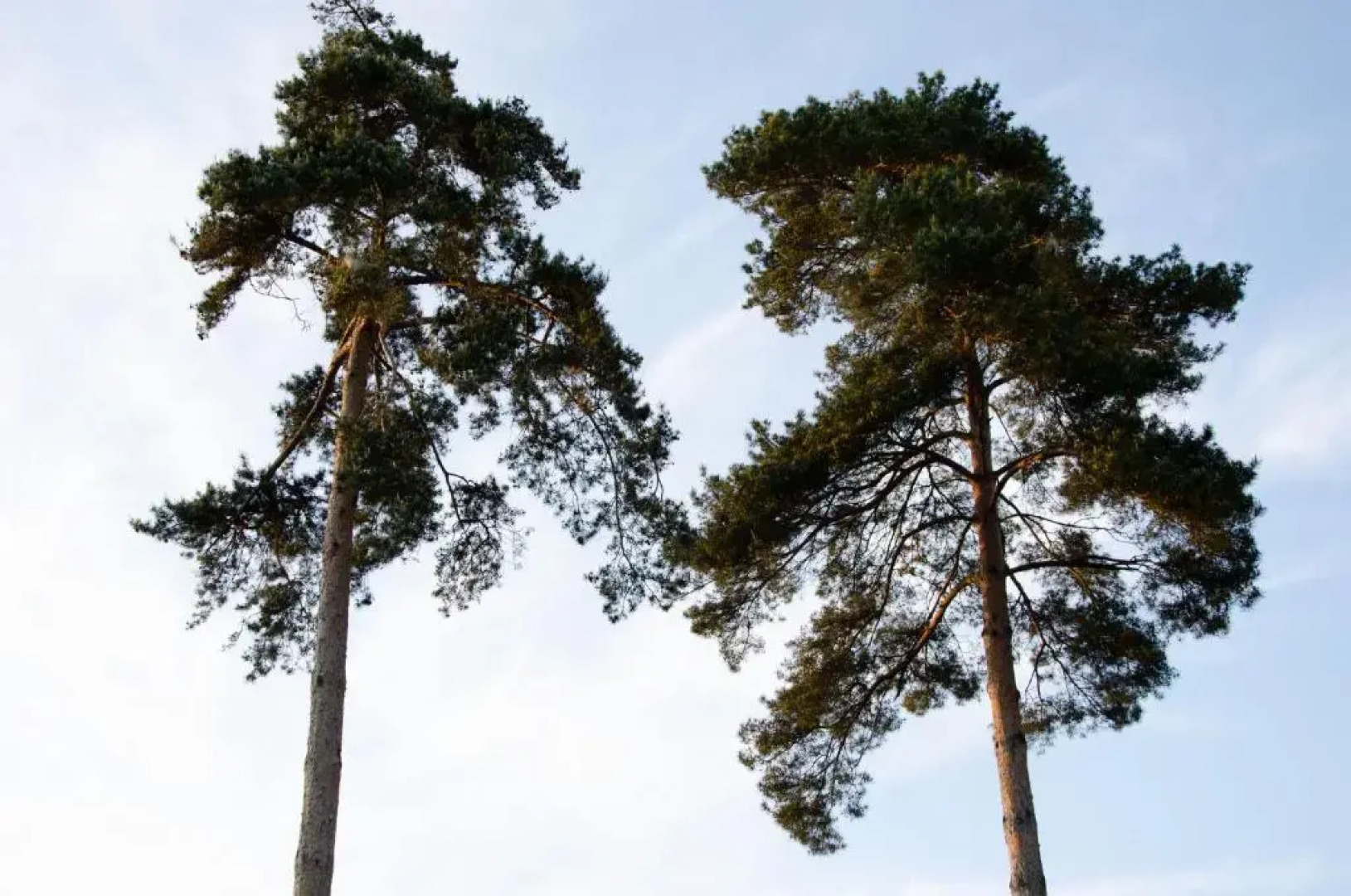 Appartement 4 personne sur Parc Vacances Richelieu