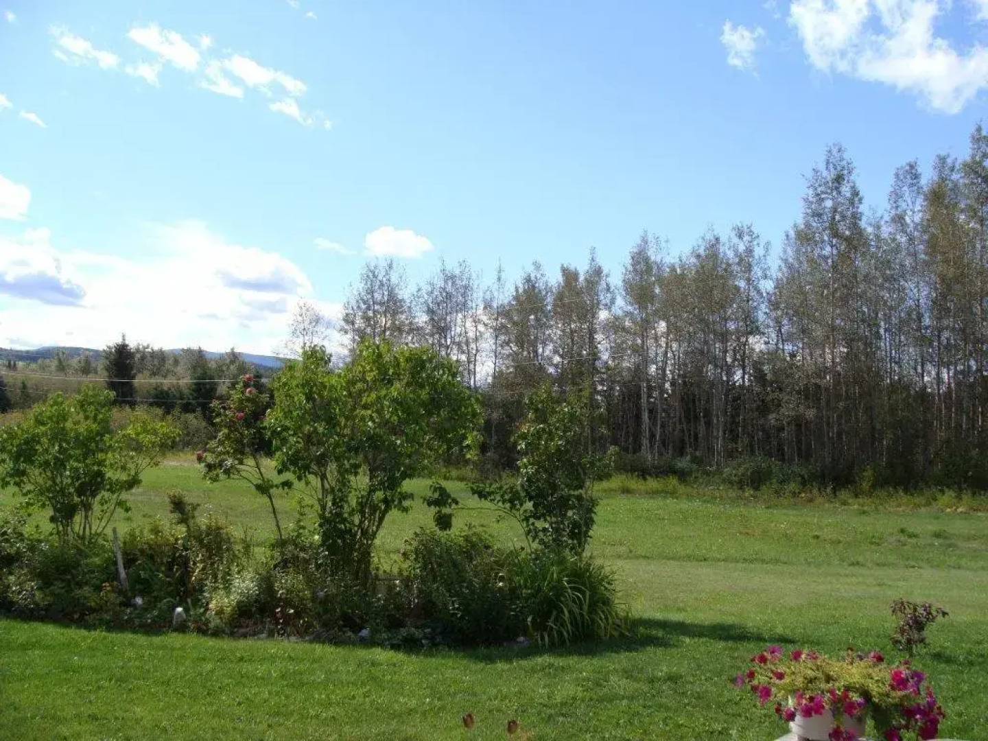 Knotty Pines Bed & Breakfast