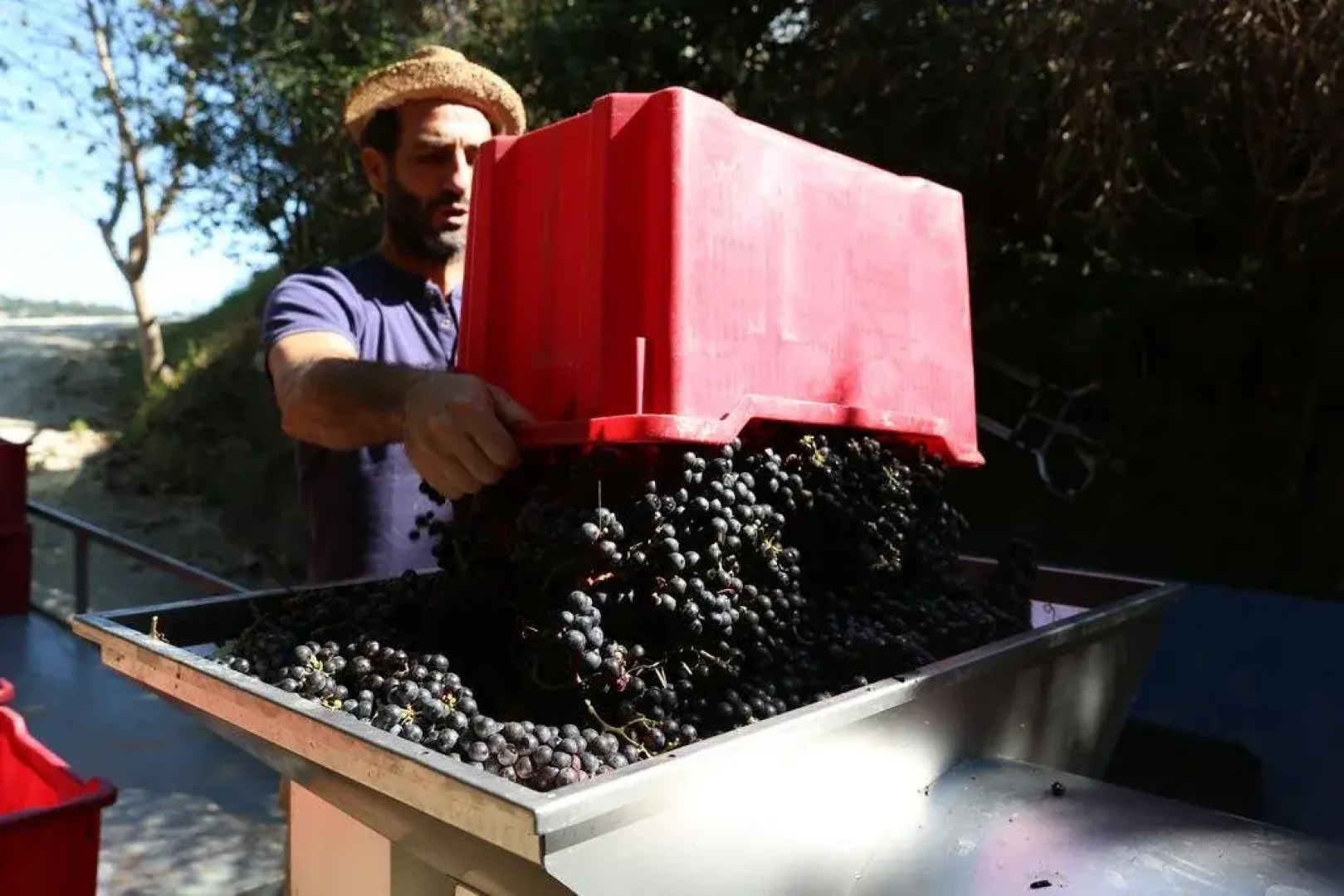 Tenuta San Marcello