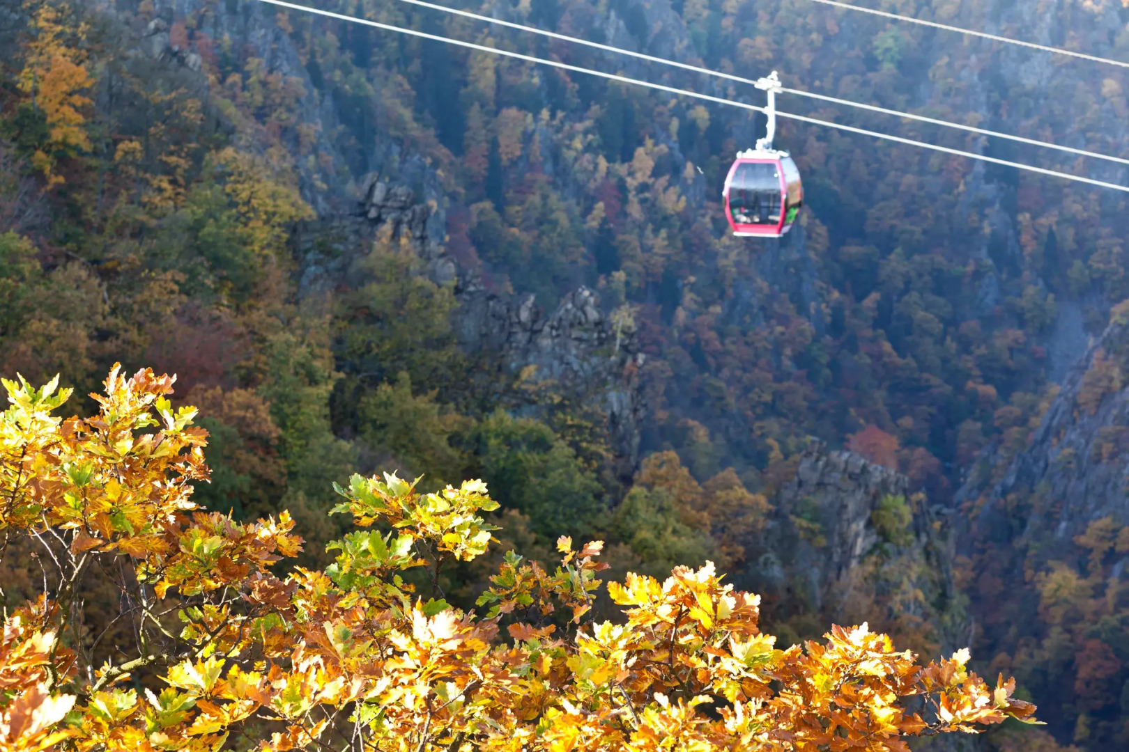 Pension Waldoase Hirschbüchenkopf