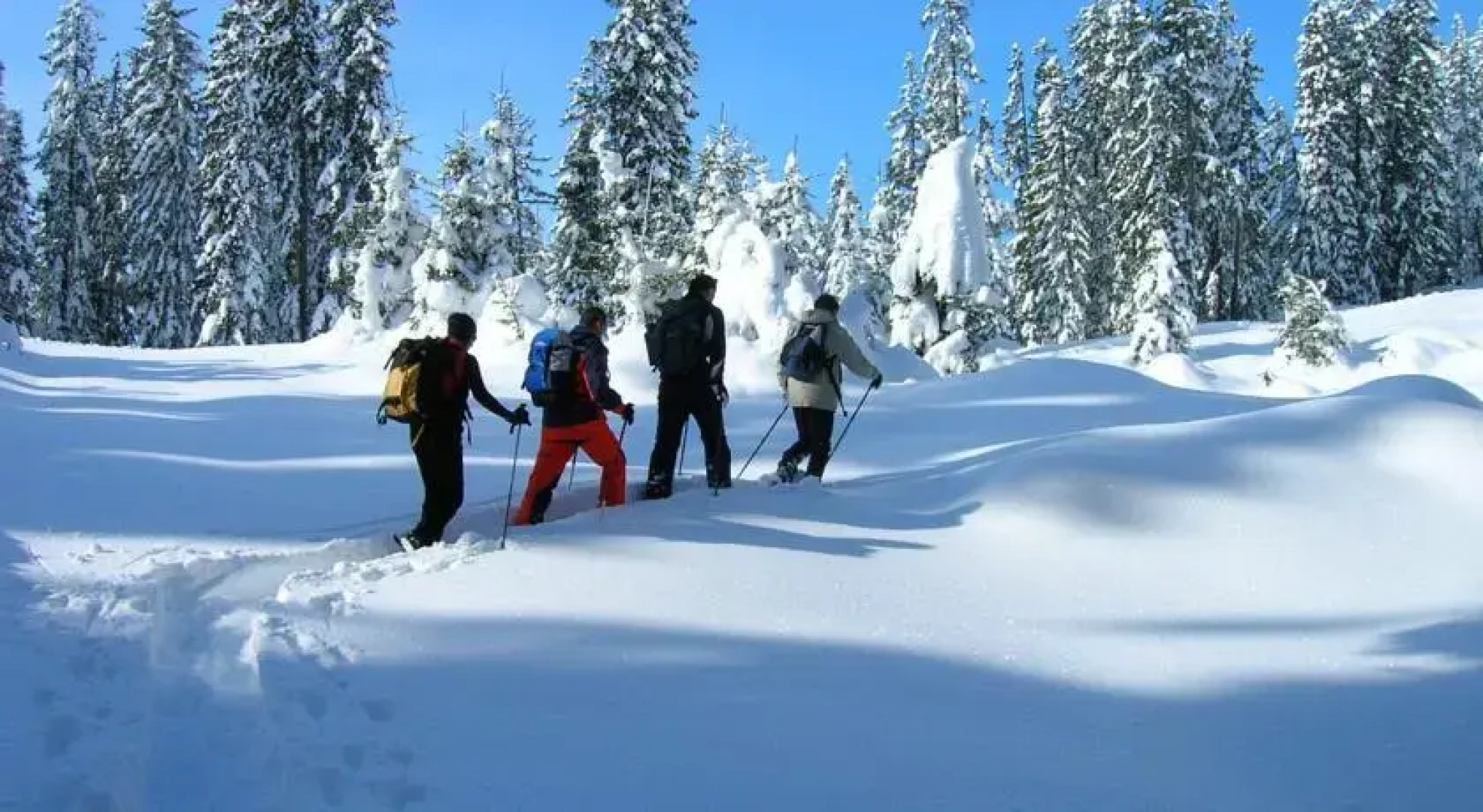 Wanderhotel Grüner Baum
