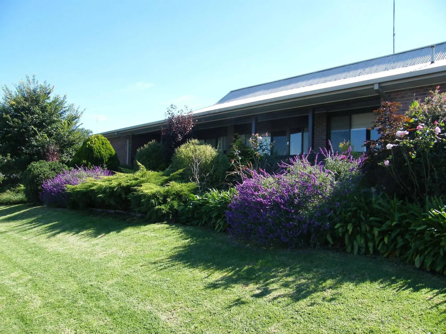 Boomers Guest House Hamilton