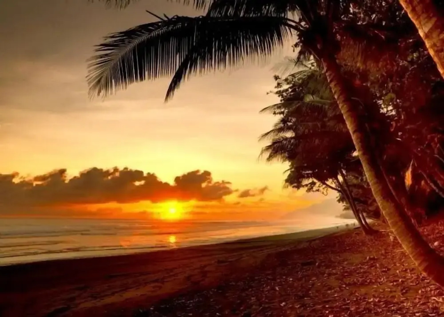 Tropical Sands Dominical Eco Inn