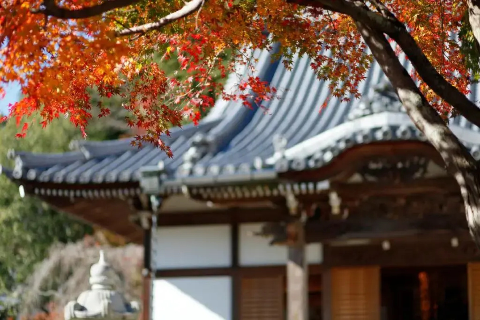 Temple Hotel Habanobo