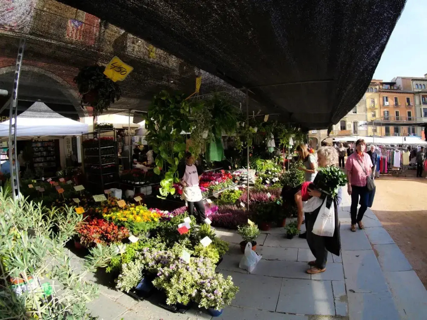 Luxury Apartment Stancesvic