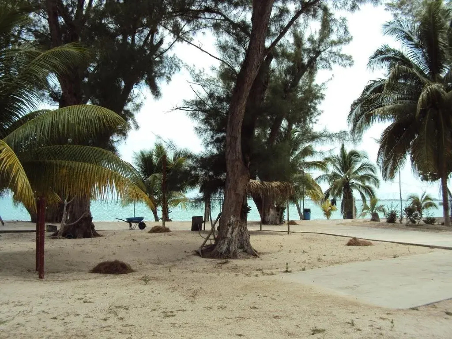 Freedom Shores "La Gringa" Hotel - Universally Designed