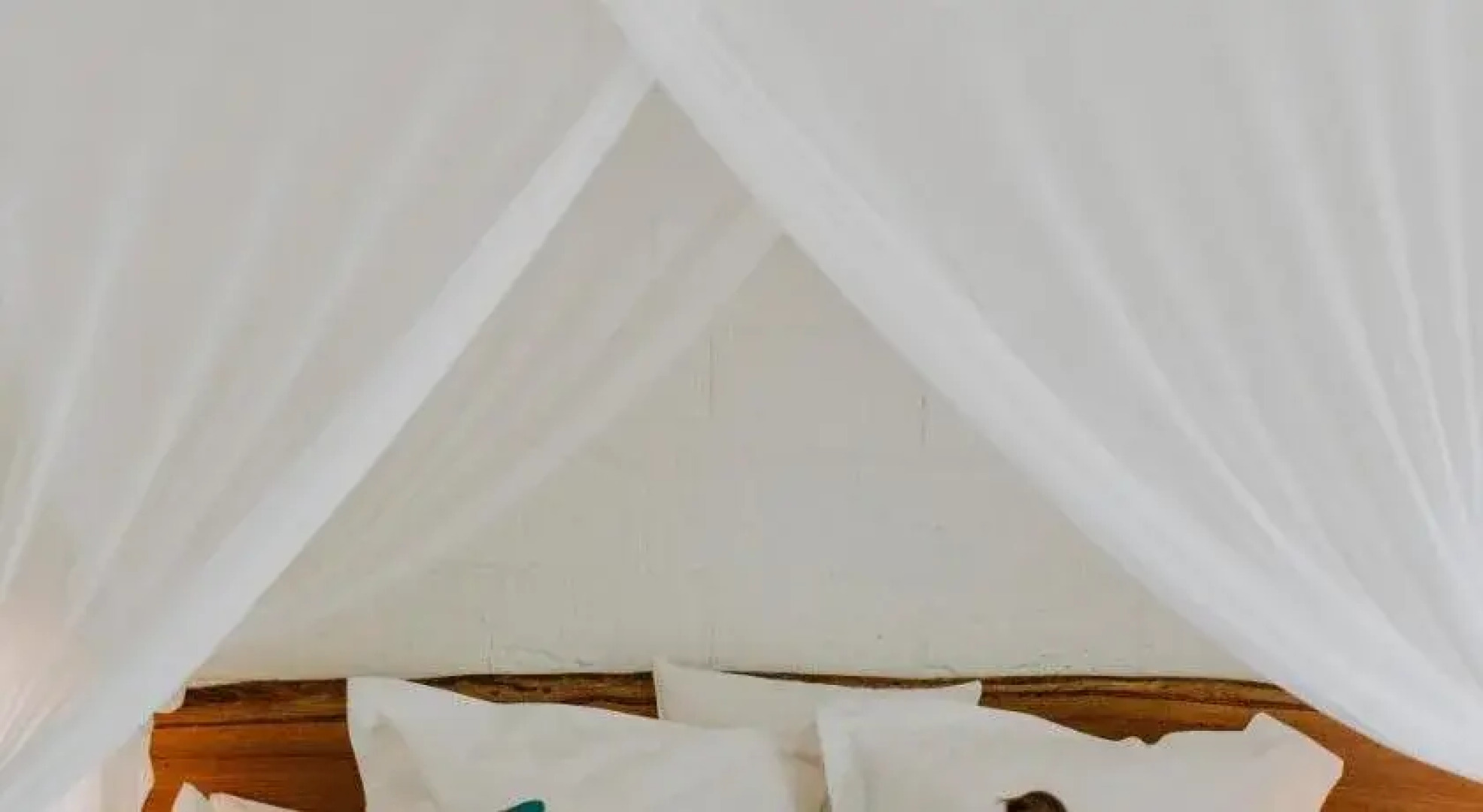 Peppermint Lane Lodge