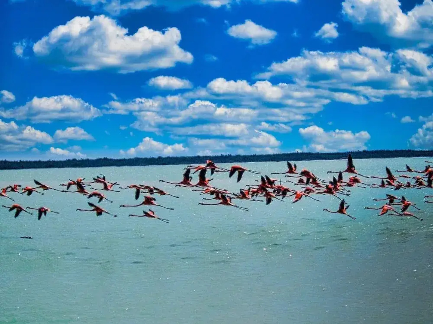 Beachfront Palapa In El Cuyo, Best Views