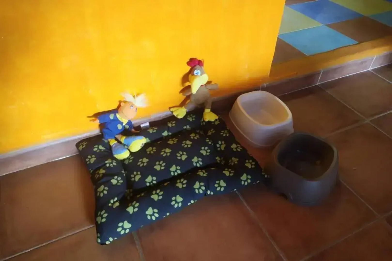 LOS ORIZOS Sierra de Gata Extremadura TR-CC-00392