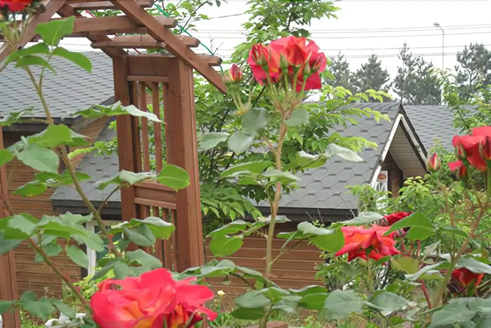 Yeongdeok Darnim Pension