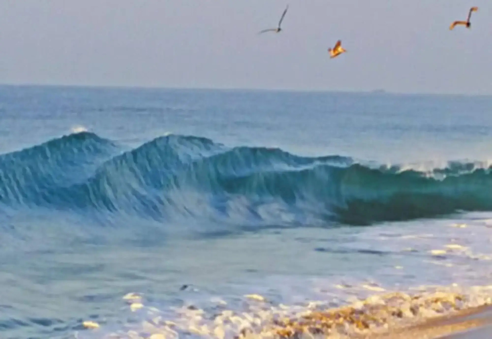 Villa Star of the Sea - Adults Only